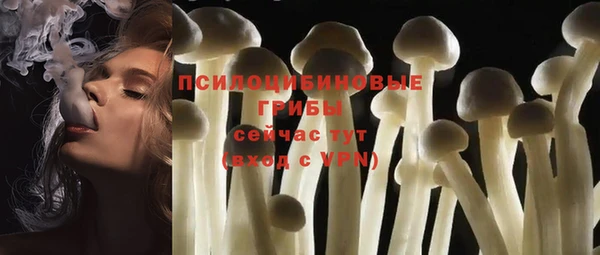 a pvp Алзамай