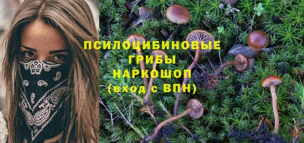 a pvp Алзамай