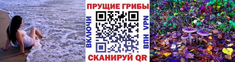 нарко площадка формула  Медынь  Псилоцибиновые грибы мицелий  hydra  